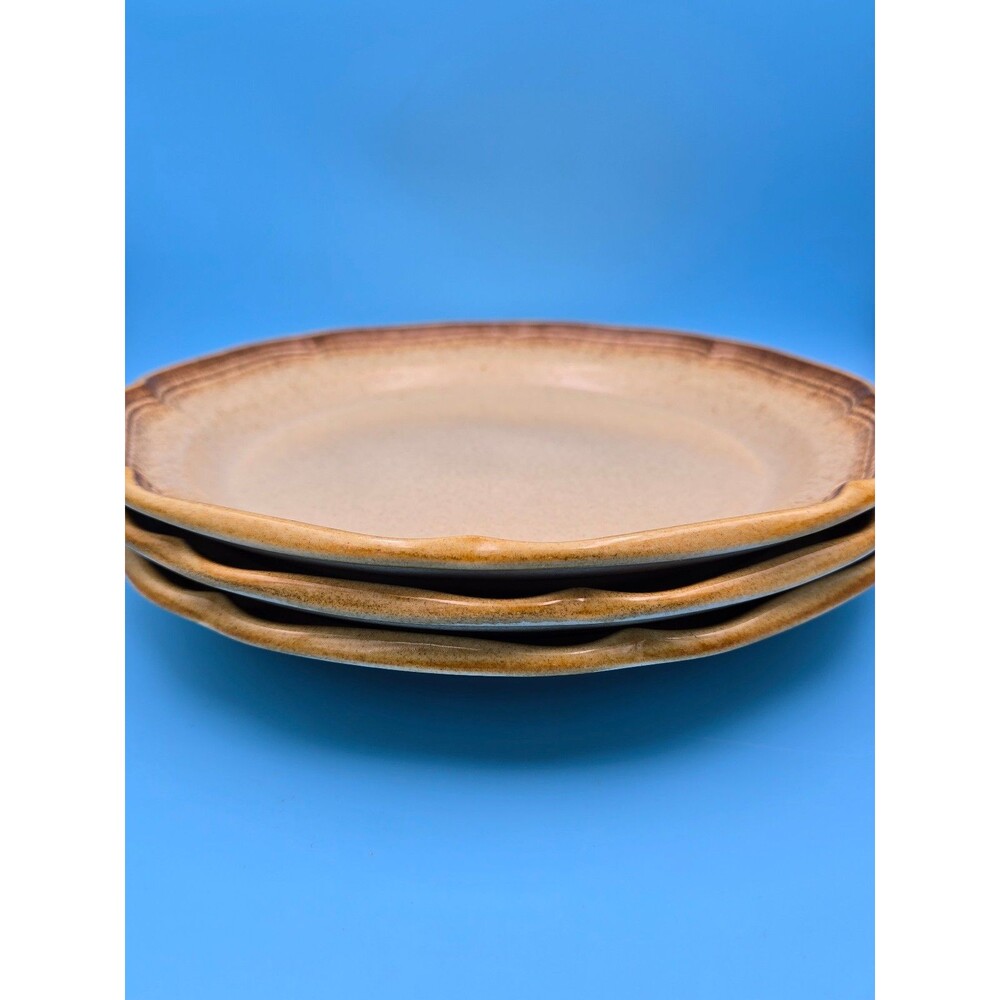 Vintage Mikasa Whole Wheat Plates (E8000) 11" Japan (3)